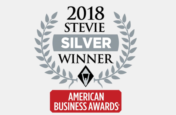 2018 silver stevie